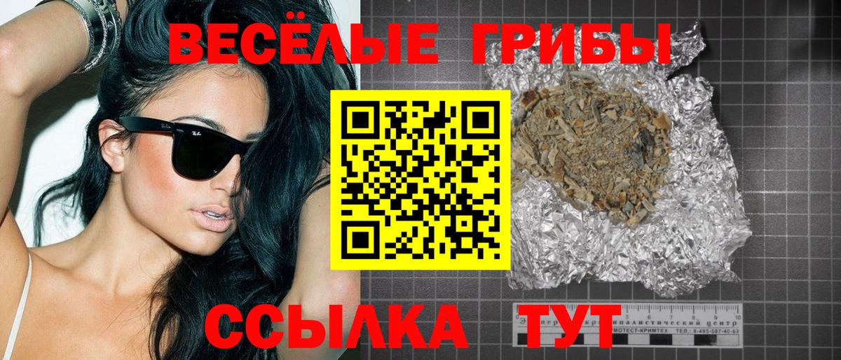 Галлюциногенные грибы Magic Shrooms  наркота  Новочеркасск  Вход с VPN 